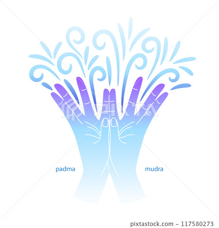 Padma mudra hands gesture on white Padma mudra hands gesture on white 117580273