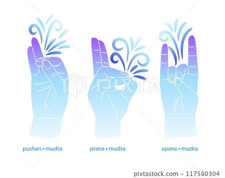 Collection of different mudras gestures 117580304