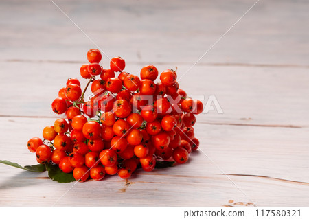 Ripe rowan isolated on wooden background. Healthy life. Copy space. Close up Ripe rowan isolated on wooden background. Healthy life. Copy space. Close up 117580321