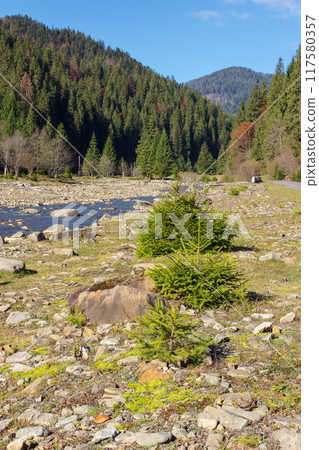 mountain river with stones on the shore in the forest near the mountain slope 117580357