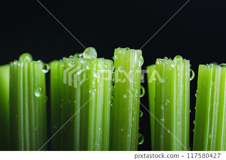celery stalks on a black background,close up 117580427