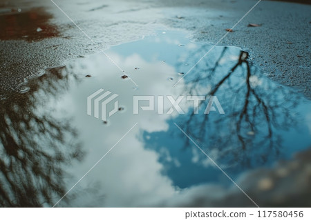 A puddle on a wet surface reflecting a cloudy sky and bare tree branches A puddle on a wet surface reflecting a cloudy sky and bare tree branches 117580456
