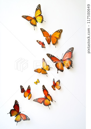Colorful butterfly wall decorations arranged on a white background. Colorful butterfly wall decorations arranged on a white background. 117580649