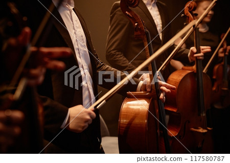 Cropped shot of unrecognizable professional string players in black suits standing in row on stage holding cellos getting encore after performance in warm dim light 117580787