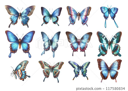 Collection of watercolor Butterfly isolated on white background. Collection of watercolor Butterfly isolated on white background. 117580834