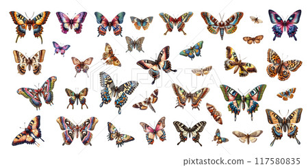 Collection of watercolor Butterfly isolated on white background. 117580835