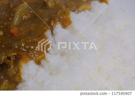 圖庫照片: 蔬菜咖哩南瓜 圖庫照片: 蔬菜咖哩南瓜 117580907