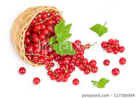 Red currant berries in a wicker basket with leaf isolated on white background 117580984