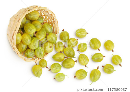 Green gooseberry in a wicker basket isolated on white background. Top view. Flat lay. Green gooseberry in a wicker basket isolated on white background. Top view. Flat lay. 117580987
