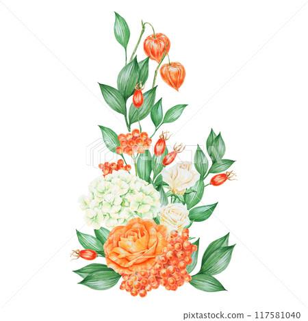 Orange and white roses, physalis, hydrangea, rowan berries and rose hips. Hand drawn watercolor isolated illustration with fall vegetables and plants for banner template for cards, prints, poster Orange and white roses, physalis, hydrangea, rowan berries and rose hips. Hand drawn watercolor isolated illustration with fall vegetables and plants for banner template for cards, prints, poster 117581040