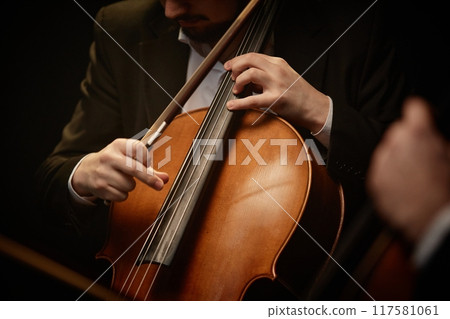 Close up on hand of unrecognizable devoted male musician strumming cello while playing with chamber quartet in dramatic light, focus on fingers and strings Close up on hand of unrecognizable devoted male musician strumming cello while playing with chamber quartet in dramatic light, focus on fingers and strings 117581061