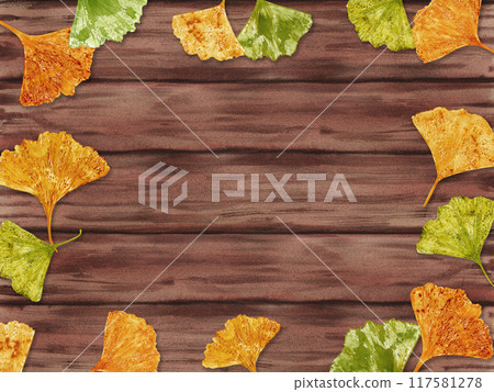 Autumn Gingko biloba leaves decor on textured brown wooden background in rustic style. Yellow and green foliage scattered on wood surface. Watercolor fall illustration for seasonal greeting. Autumn Gingko biloba leaves decor on textured brown wooden background in rustic style. Yellow and green foliage scattered on wood surface. Watercolor fall illustration for seasonal greeting. 117581278