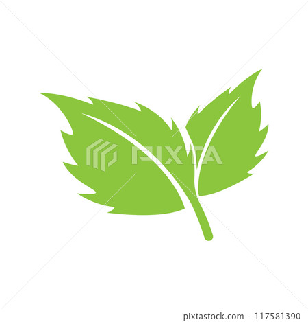 leaf logo vector 117581390