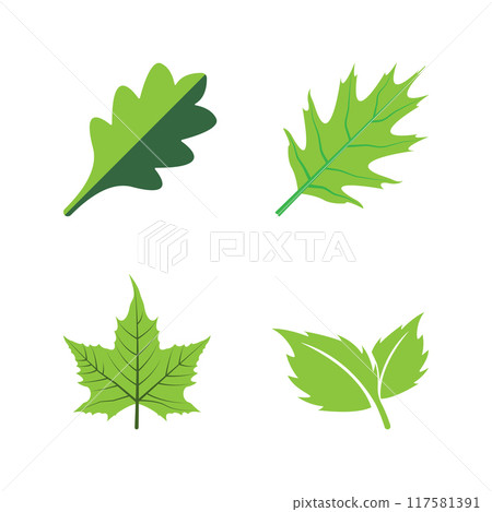 leaf logo vector 117581391