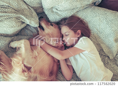 Cute Little Girl Sleeping With Golden Retriever Dog In Bed Cute Little Girl Sleeping With Golden Retriever Dog In Bed 117582020