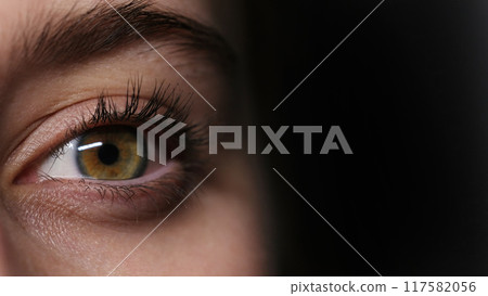 Close-Up Of A Large, Blinking Girl'S Eye On A Black Background 117582056