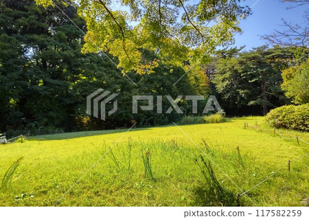 櫻丘堇自然花園 東京都世田谷區櫻丘 小田急小田原線 千歲船橋站 市營公園 都市綠地前身工廠 櫻丘堇自然花園 東京都世田谷區櫻丘 小田急小田原線 千歲船橋站 市營公園 都市綠地前身工廠 117582259