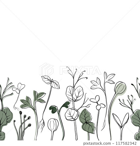 Seamless banner with hand drawn microgreen vector illustration. Contour sprouts of watercress, spinach, mustard cress and peas, radish, onion, sunflower, basil plant. Frame for menu, healthy lifestyle 117582342