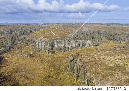 An open field surrounded by trees in a world heritage listed national park 117582540