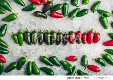 Gradient Row of Jalapeno Peppers on Concrete Background Gradient Row of Jalapeno Peppers on Concrete Background 117583300