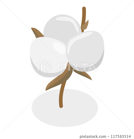 3D Isometric Flat Vector Illustration of Cotton Flower Collection, Pure and Organic Product. Item 2 3D Isometric Flat Vector Illustration of Cotton Flower Collection, Pure and Organic Product. Item 2 117583514