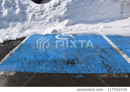 Snow Country Car Parking 117583538