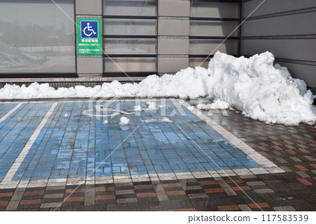 Snow Country Car Parking 117583539
