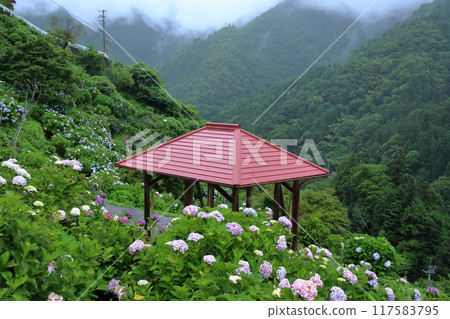 新宮紫陽花村休息處（愛媛縣四國中央市） 117583795