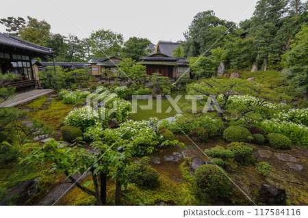 A garden in full bloom during the summer A garden in full bloom during the summer 117584116