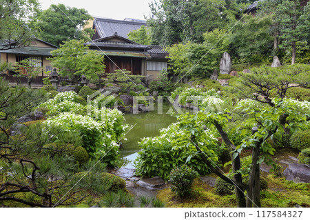 A garden in full bloom during the summer A garden in full bloom during the summer 117584327