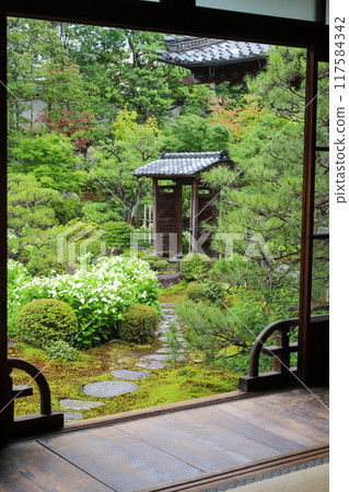 A garden in full bloom during the summer 117584342