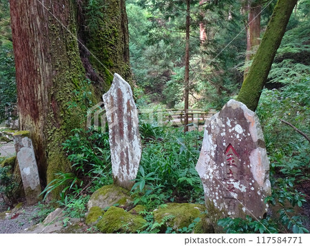 曹洞禪 大雄山西乘寺(神奈川縣南足柄市大王町) 曹洞禪 大雄山西乘寺(神奈川縣南足柄市大王町) 117584771
