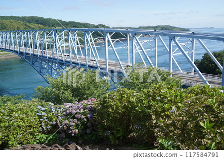 The Black Seto Bridge and the surrounding scenery The Black Seto Bridge and the surrounding scenery 117584791