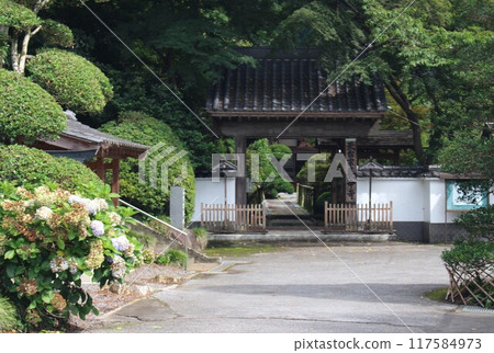 Futoshiji Futoshiji 117584973