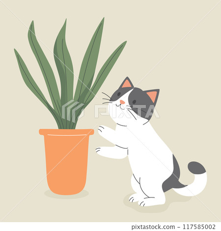 Cute Cartoon Flat Vector Cat Reaching for a Potted Sansevieria Plant. Vector Illustration for Cat Lovers. Pet Kitten Home Life Design Template Cute Cartoon Flat Vector Cat Reaching for a Potted Sansevieria Plant. Vector Illustration for Cat Lovers. Pet Kitten Home Life Design Template 117585002