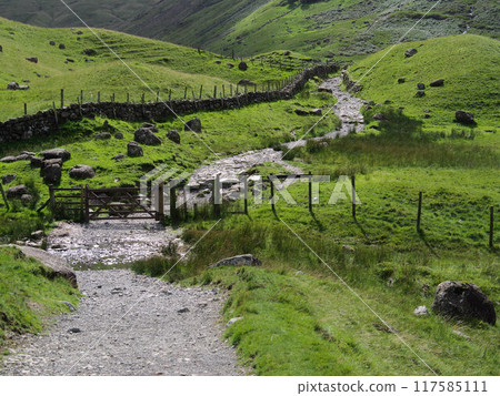 Landscape of the Lake District (Seththwaite), England Landscape of the Lake District (Seththwaite), England 117585111