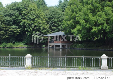 櫪木中央公園 117585138
