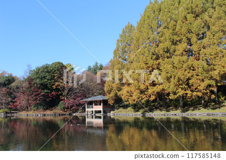 Tochigi Central Park 117585148