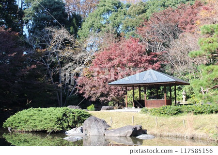 Tochigi Central Park 117585156