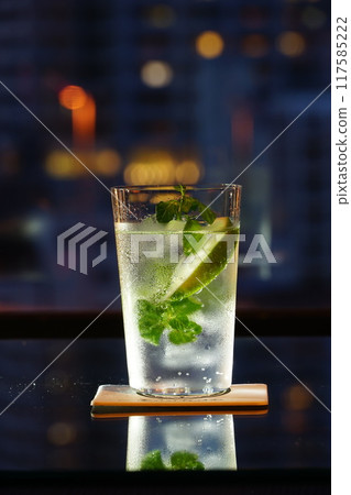 Bar Cocktail Gin and Tonic 117585222