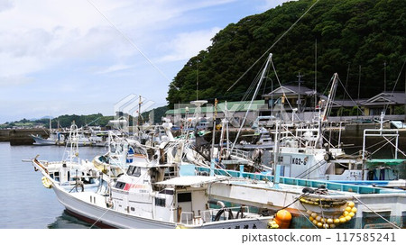 Miyanoura Port and its surroundings, Nagashima Town, Izumi District, Kagoshima Prefecture 117585241
