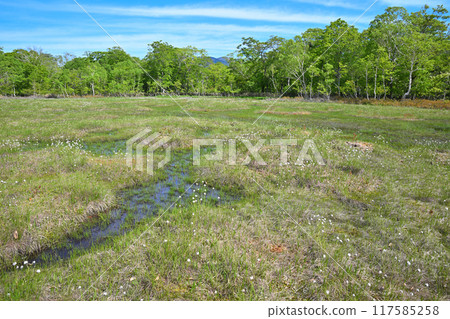 Hotaka, Tashiro Marsh, Reservoir, Early Summer Scenery, Gunma Prefecture Hotaka, Tashiro Marsh, Reservoir, Early Summer Scenery, Gunma Prefecture 117585258