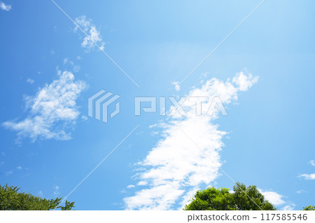 夏天的雲和樹 117585546