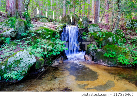 妙高瀑布 117586465