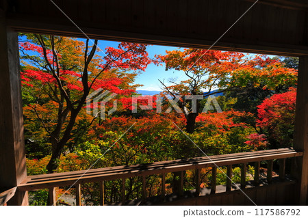 [Saga Prefecture] Autumn leaves at Daikozenji Temple on a clear day 117586792