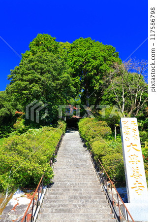 [Saga Prefecture] Stone steps of Daikozenji Temple (Kibou no Saka) on a sunny day 117586798