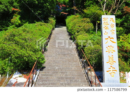 [佐賀縣] 晴天的大光禪寺（希望之坂）的石階 117586799