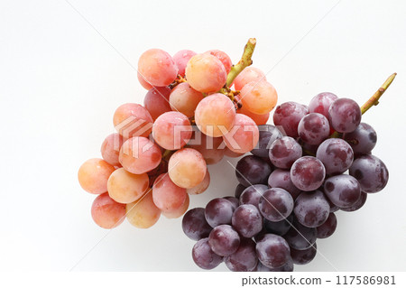 autumn fruit grapes 117586981