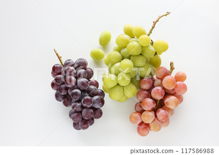 autumn fruit grapes autumn fruit grapes 117586988