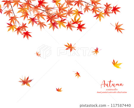 水彩畫秋葉插畫向量框架 117587440